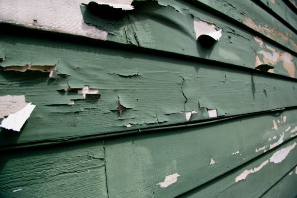 Best Dumpster Rental Services  in Bingham Farms, MI