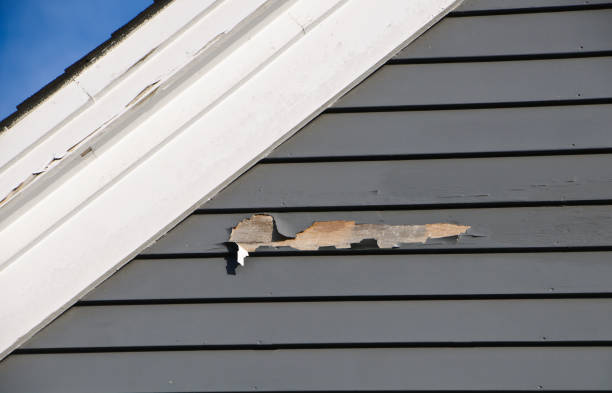 Best Demolition Debris Removal  in Bingham Farms, MI